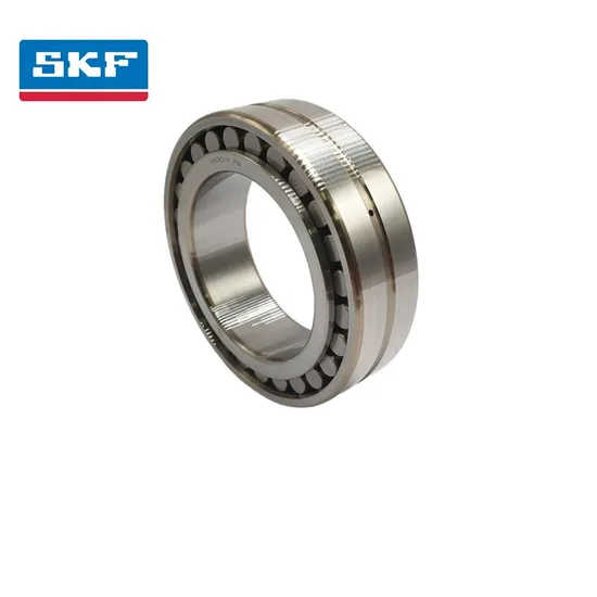Double Row Cylindrical Roller Bearing NUP2211-Ec P for Logistics Conveying Equipment C3 Clearance